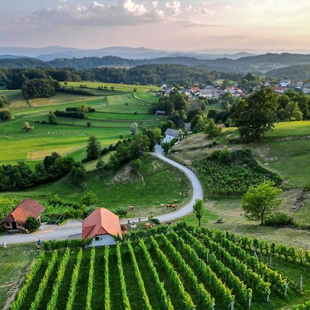 Vineyard Cottage Krivic Trebelno Luaran gambar