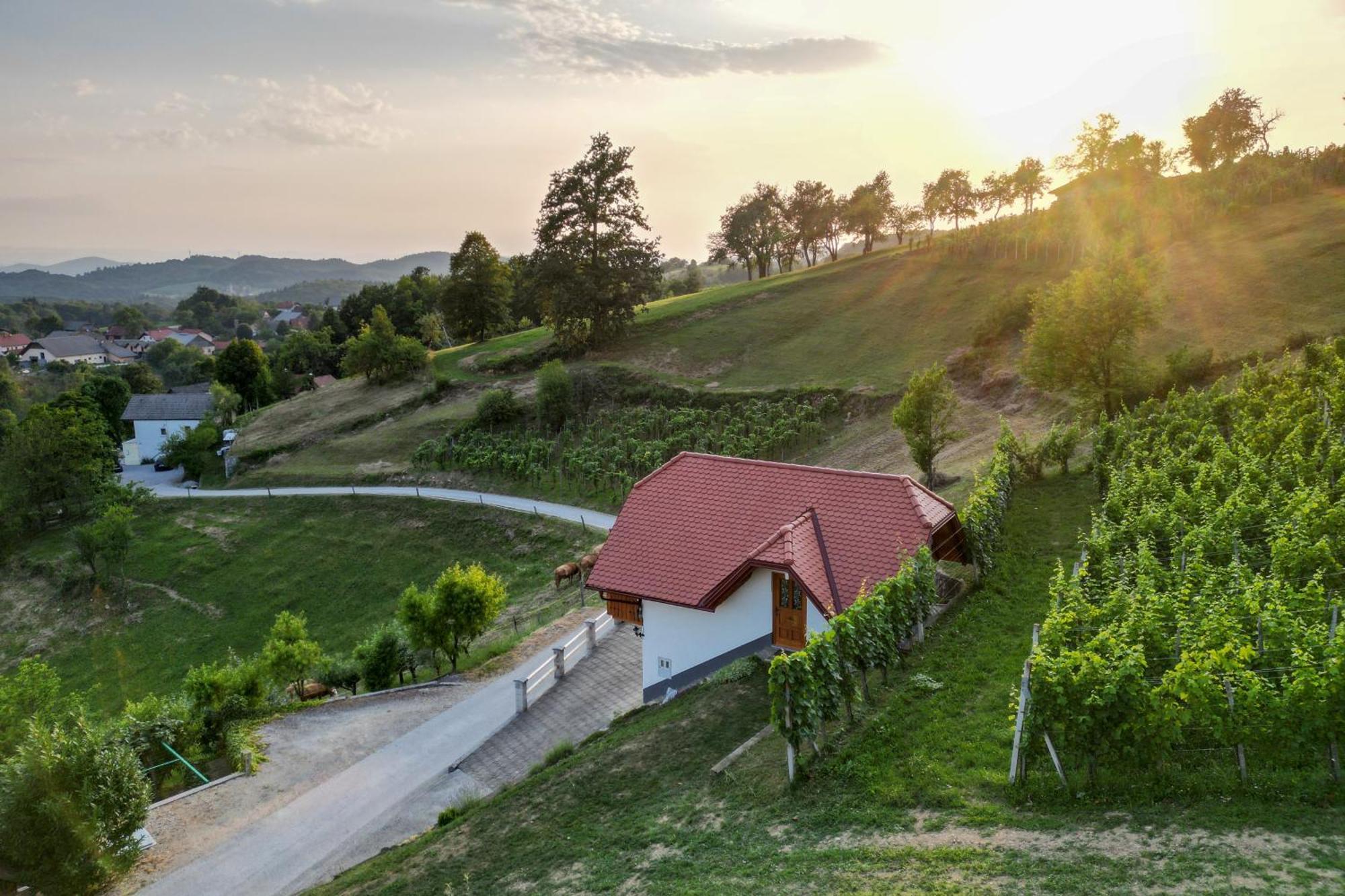 Vineyard Cottage Krivic Trebelno Luaran gambar