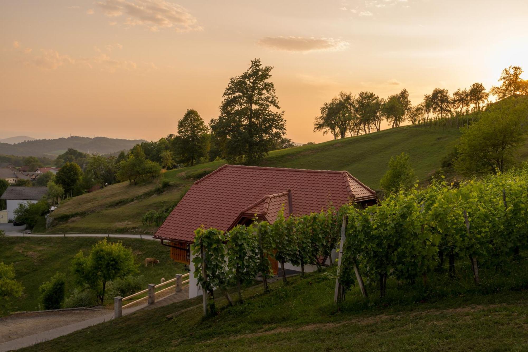 Vineyard Cottage Krivic Trebelno Luaran gambar