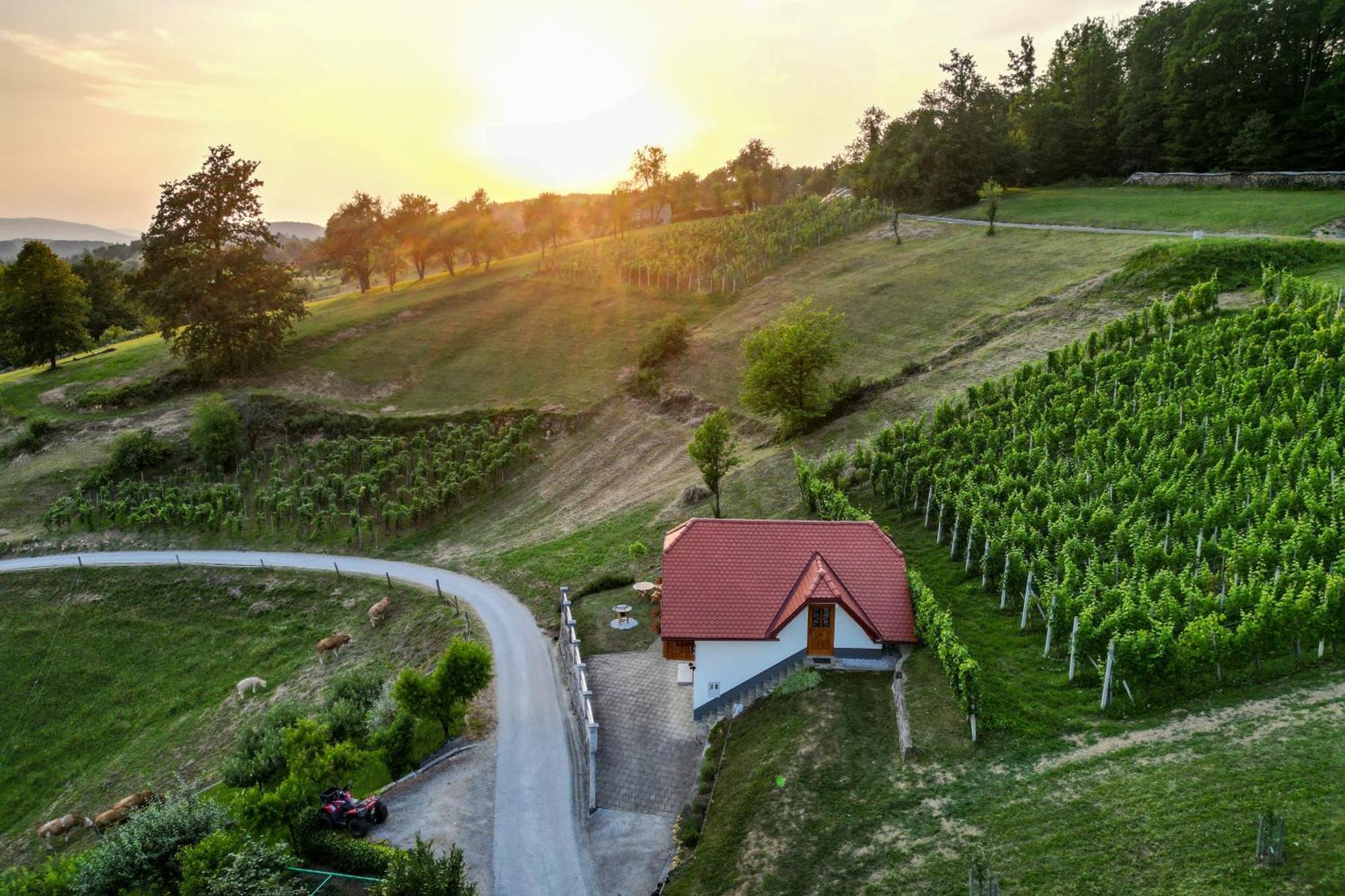 Vineyard Cottage Krivic Trebelno Luaran gambar