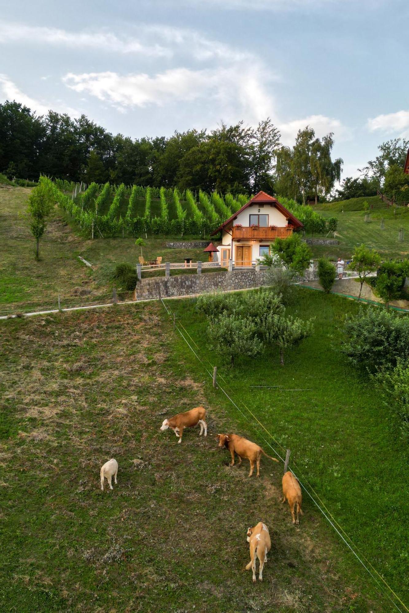 Vineyard Cottage Krivic Trebelno Luaran gambar