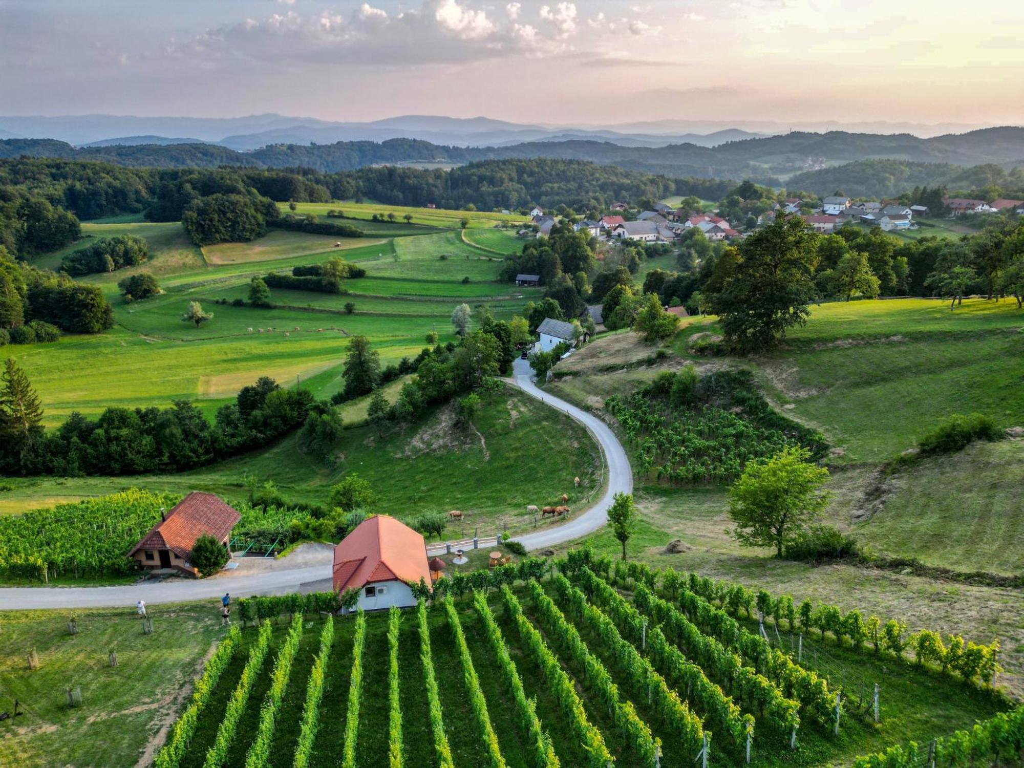 Vineyard Cottage Krivic Trebelno Luaran gambar